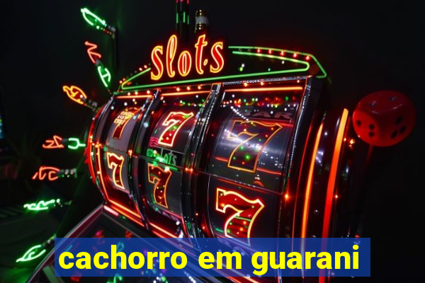cachorro em guarani